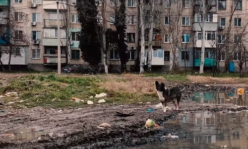 Керчане сняли мрачный ролик о своем городе