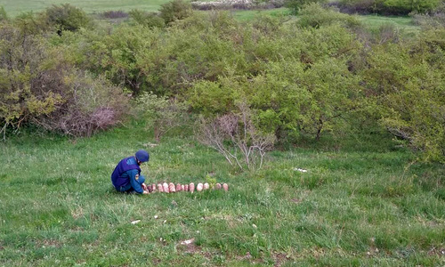 Близ села Багерово вновь откопали снаряды времен войны
