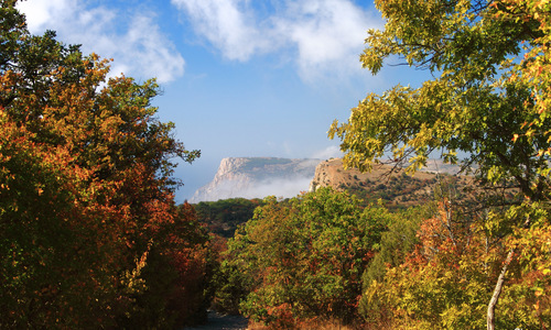 Тепло останется в Крыму до середины ноября