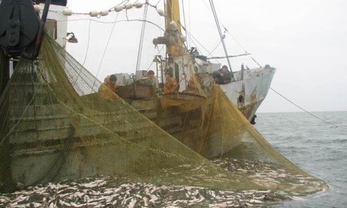 Добытые рыбаками морепродукты разрешили доставлять вне морских портов