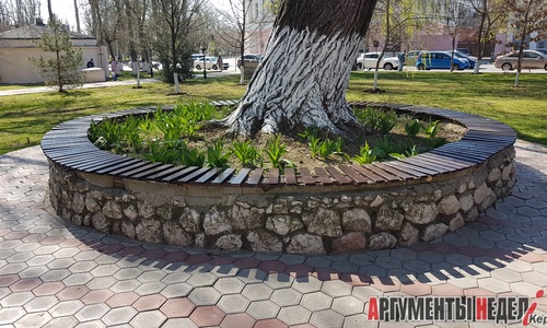 Сломанную скамейку у вяза в Керчи починили
