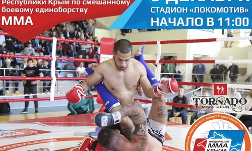 Керчане поборются за чемпионское звание в ММА