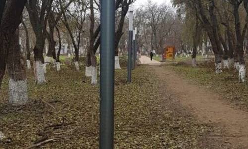 В Комсомольском парке успели разбить фонарь